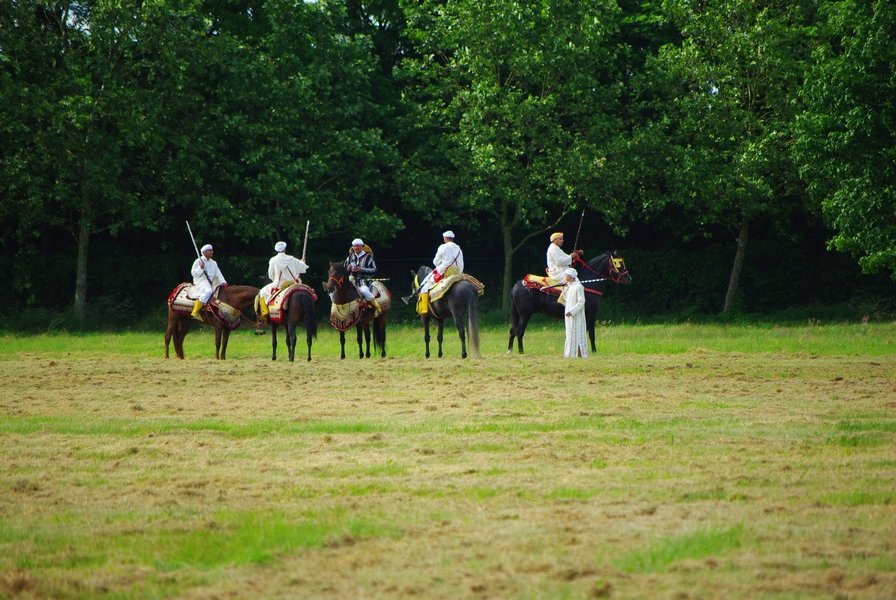 Le Moussem des Cultures 2008 205.jpg